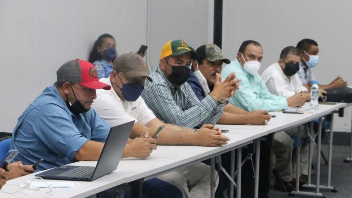 Gobierno garantiza $150 millones para producción de arroz