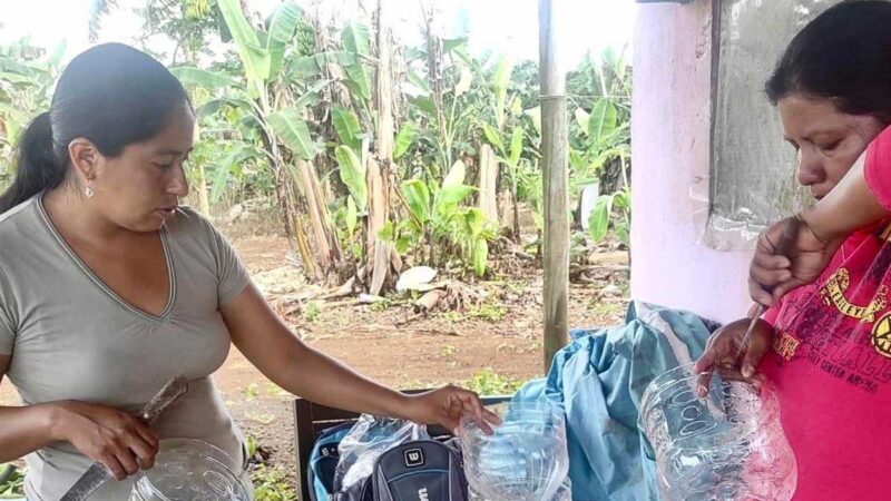 Heifer junto al PNUD Ecuador ejecuta proyecto de fortalecimiento de prácticas agroecológicas en Galápagos