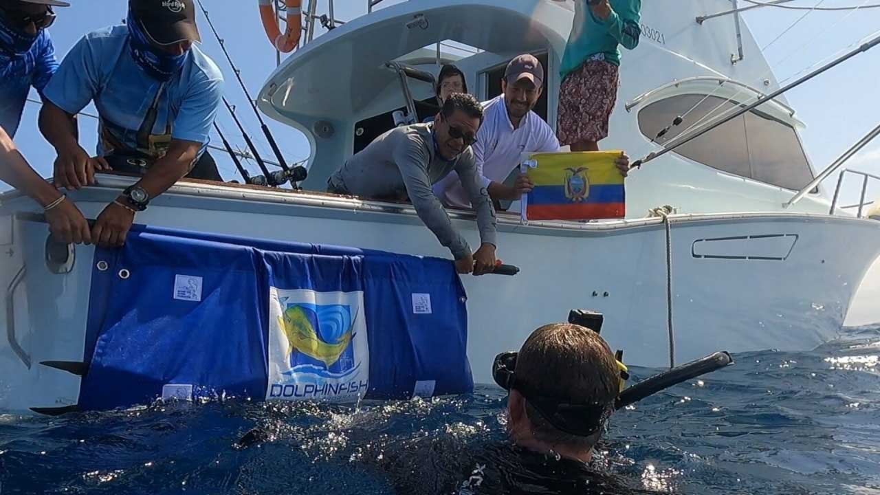 IPIAP e IMARPE estudian conjuntamente los movimientos migratorios del pez dorado en el Pacífico Oriental