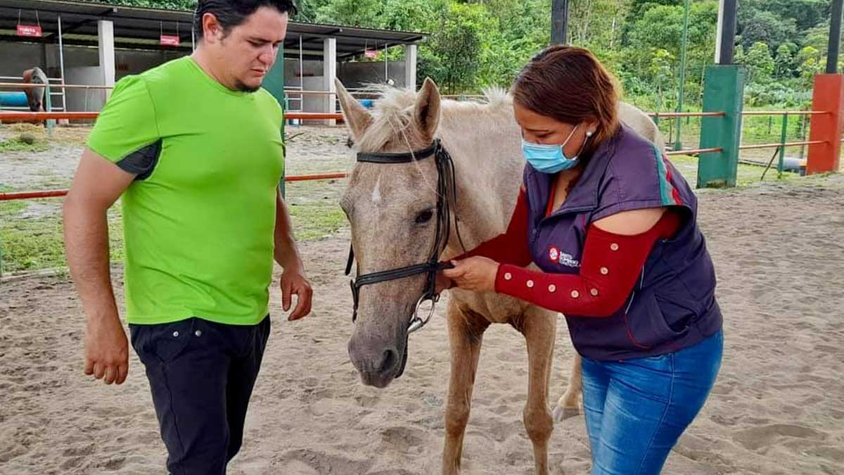 Inicia la temporada de terapia integral con animales