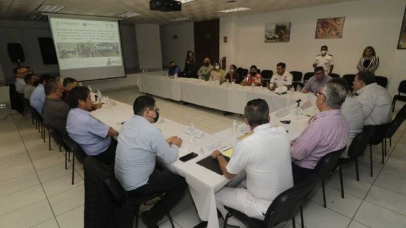 La Comisión Nacional de Acuacultura y Pesca, junto a otras entidades trabajan en la protección de tortugas marinas