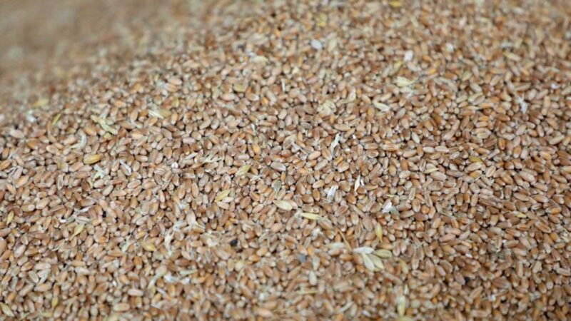 Los países de la Unión Europea comunicarán sus reservas de cereal, arroz y oleaginosas