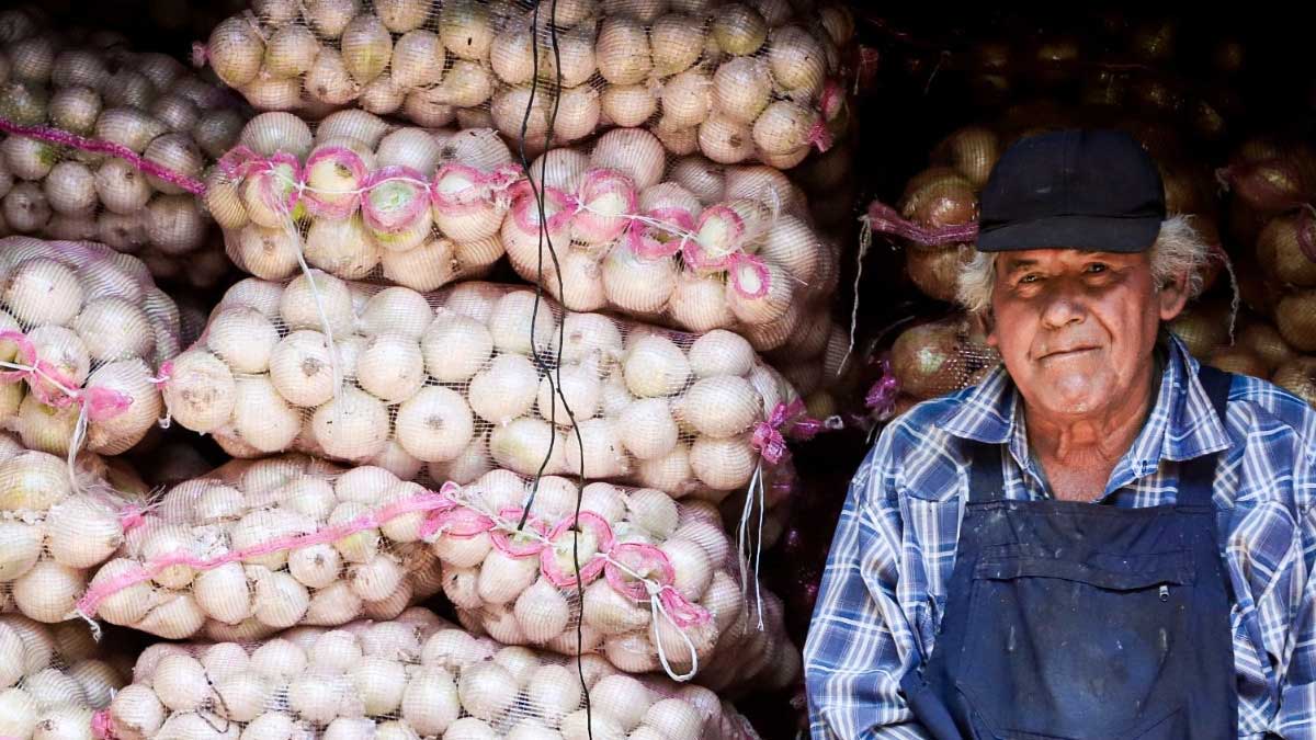MAG asegura el abastecimiento de alimentos con más de 6,000 verificaciones a nivel nacional