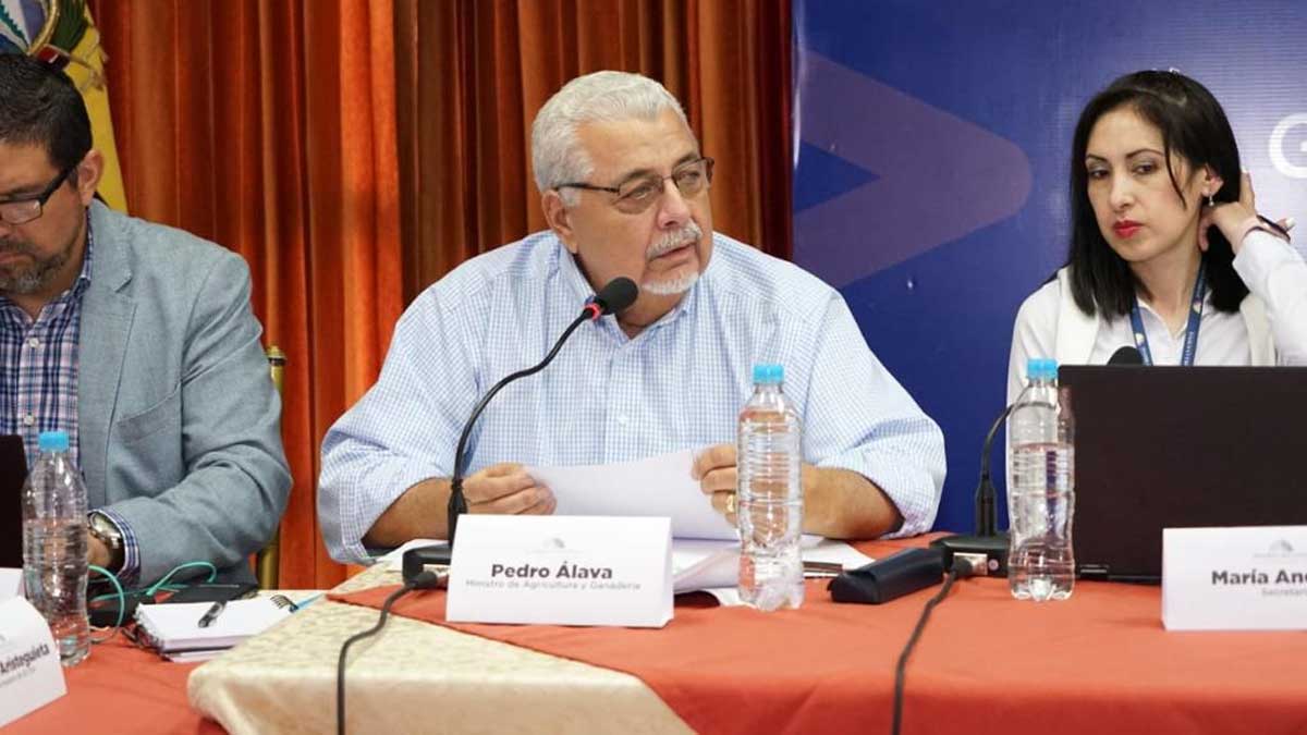 MAG toma acciones inmediatas para apoyar al sector bananero