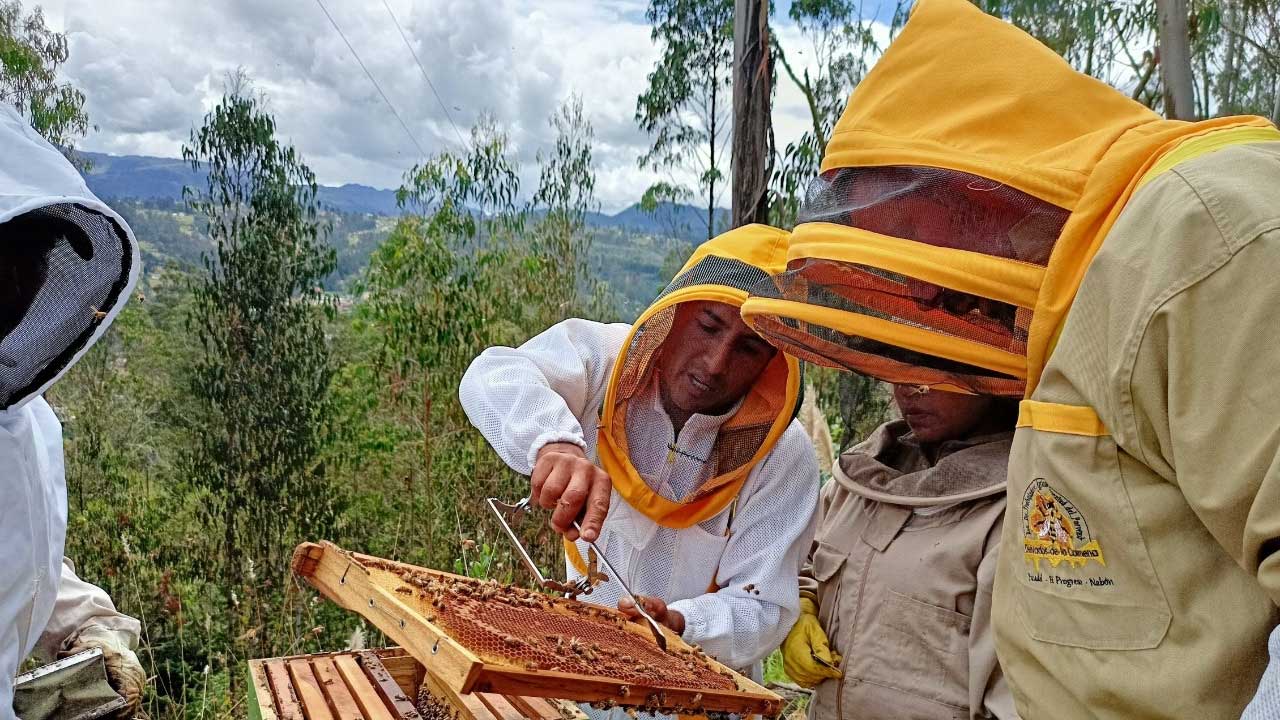 MAG y SECAP certifican a Apicultores