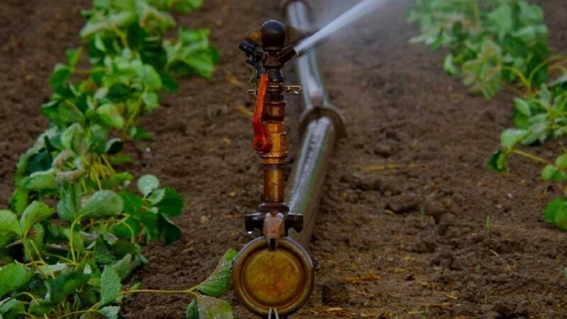 Ministerio de Ambiente inició la revisión de proyectos de riego y drenaje de los gobiernos provinciales