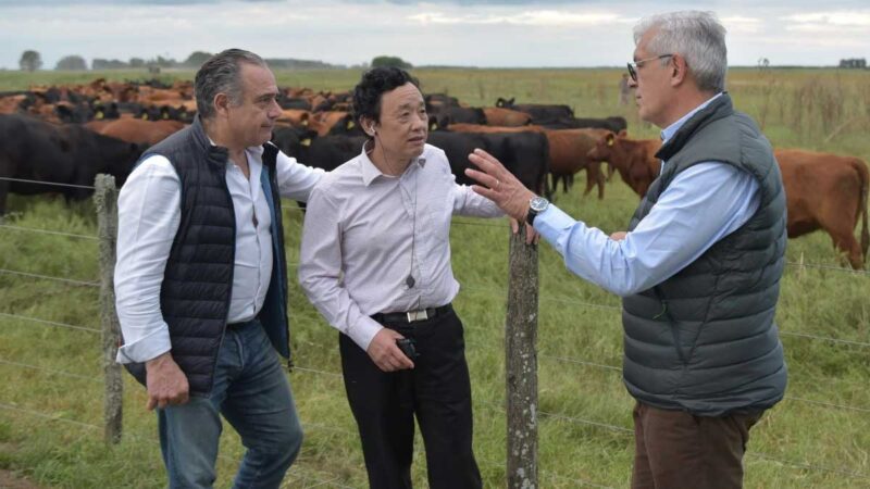 Ministro Julián Domínguez destacó el trabajo de los ganaderos ante la visita del titular de la FAO