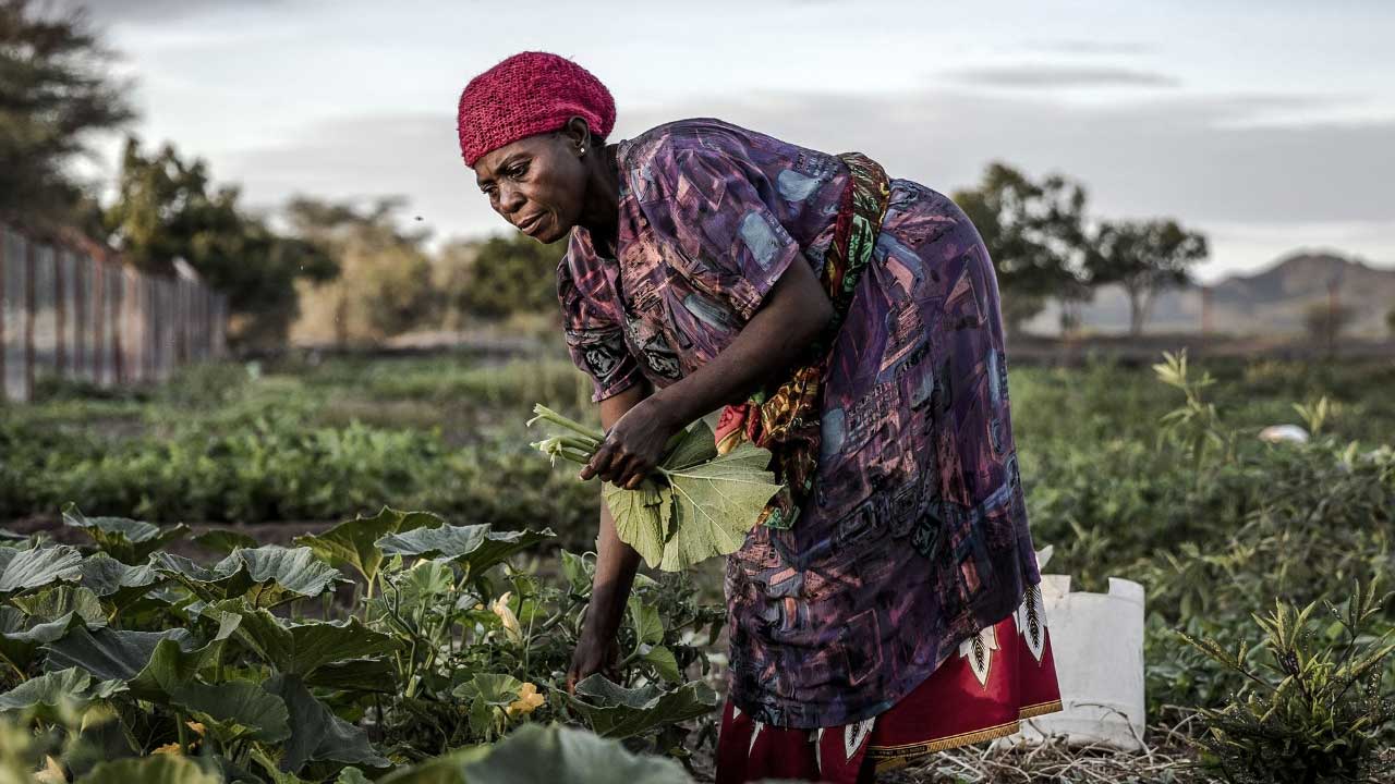 Nuevas directrices para aumentar las inversiones destinadas a los jóvenes en los sistemas agroalimentarios de África