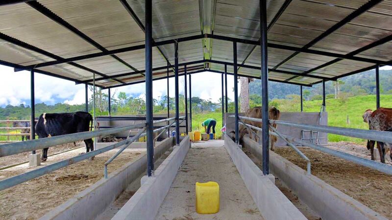 Prefectura contribuye a la construcción de establos en El Pangui