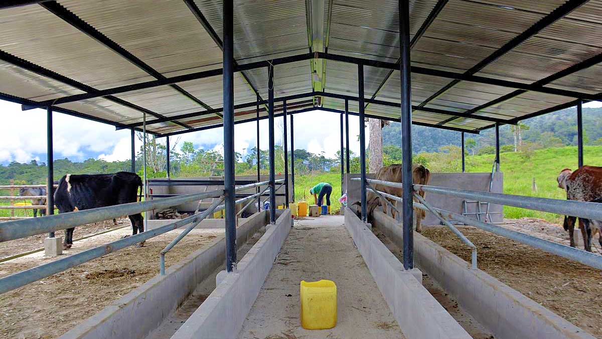 Prefectura contribuye a la construcción de establos en El Pangui