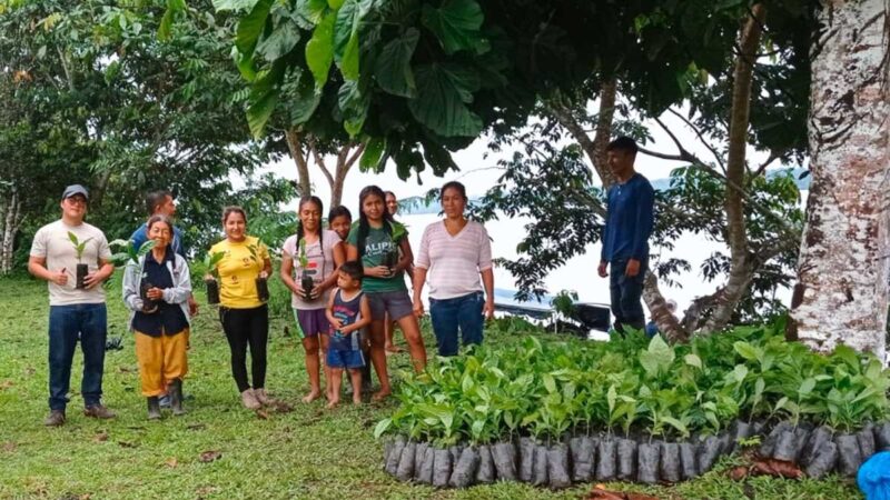 Prefectura entregó plantas de café a comunidades de la parroquia Pañacocha