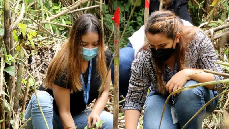 Prefectura trabaja a favor del medio ambiente