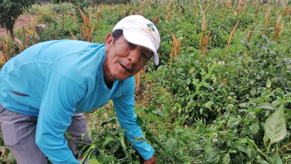 Prefectura trabaja en beneficio de los productores de Saraguro