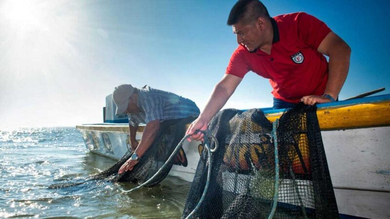 Presidente de México pide que camarón ecuatoriano quede fuera del acuerdo comercial