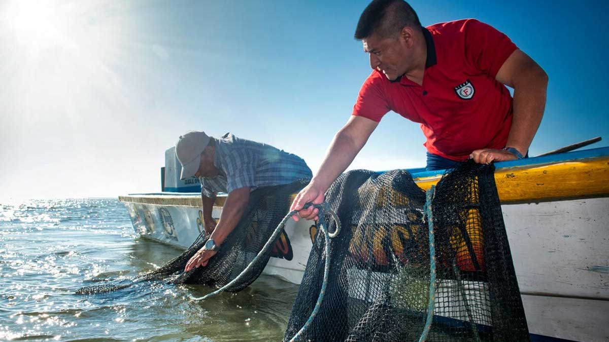 Presidente de México pide que camarón ecuatoriano quede fuera del acuerdo comercial