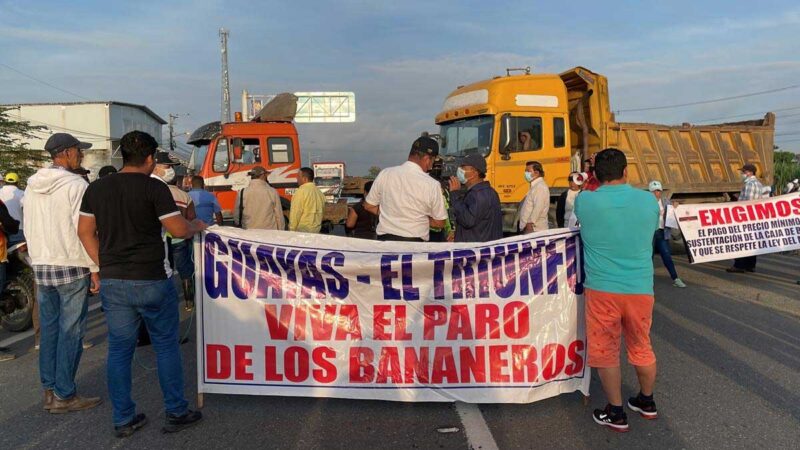 Productores bananeros de Guayas, Los Ríos y El Oro salen a las calles