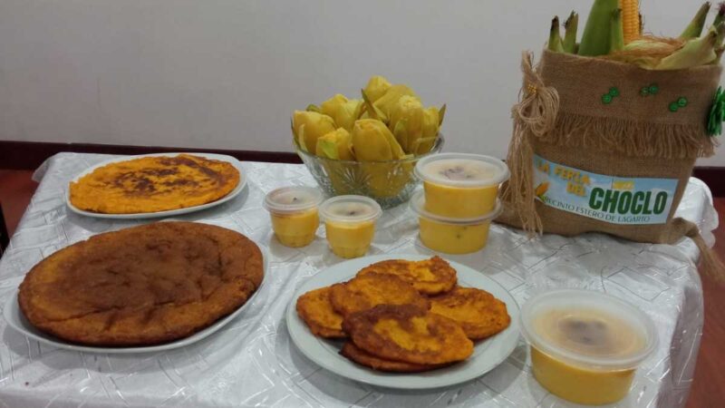 Próxima Feria del Choclo se desarrollará en el cantón Vinces