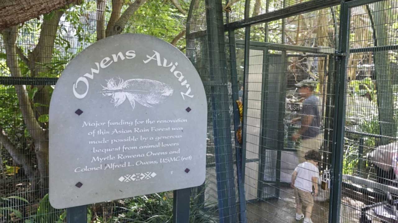 San Diego Zoo y Safari Park se preparan para la posible llegada de la gripe aviar