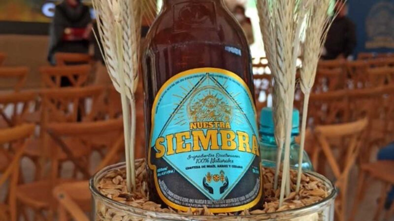 Se benefician cientos de agricultores con el Programa “Siembra por Contrato”