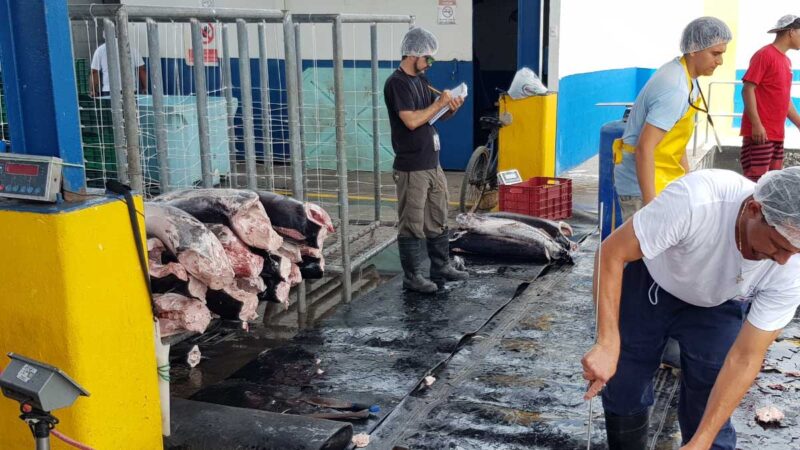 Sector Agropecuario declara interés en el Programa de Desarrollo de la Pesca y Acuicultura