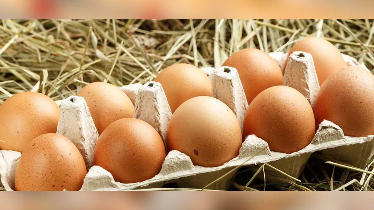 Sube el precio del huevo en todo el país