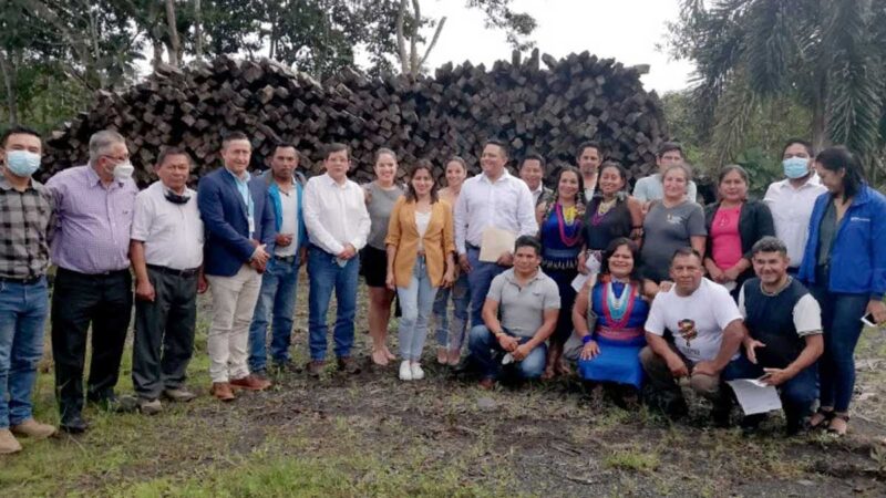 226 metros cúbicos de madera decomisada fueron donados para fines sociales en varias provincias
