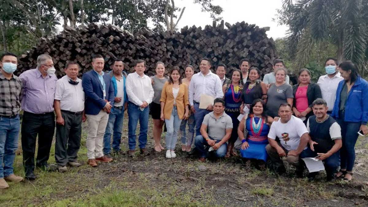226 metros cúbicos de madera decomisada fueron donados para fines sociales en varias provincias