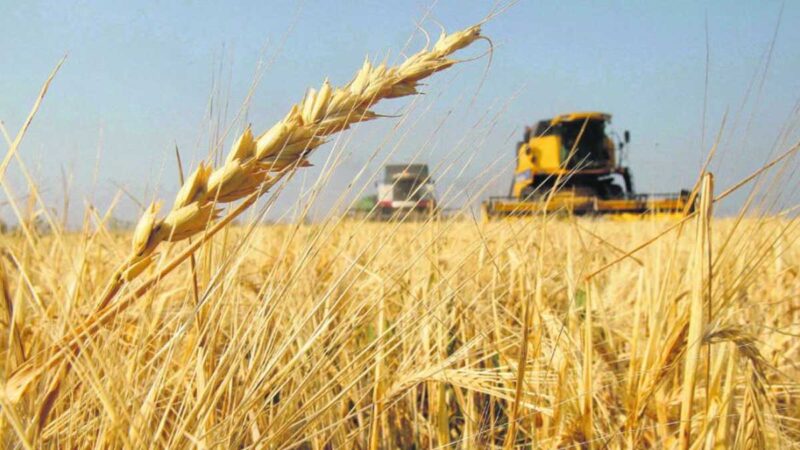 Agricultura puso en marcha el Programa “Cerrando Brechas Productivas”