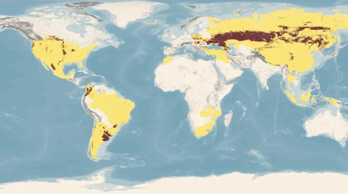 Alianza mundial sobre los suelos: diez años promoviendo el fundamento de los sistemas agroalimentarios mundiales