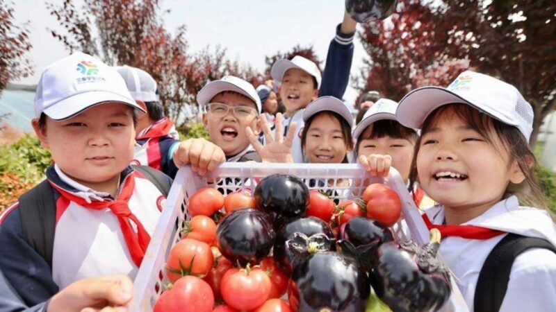 Alumnos de Xi’an reciben clases de labores en una granja para aprender a recoger verduras y cocinar