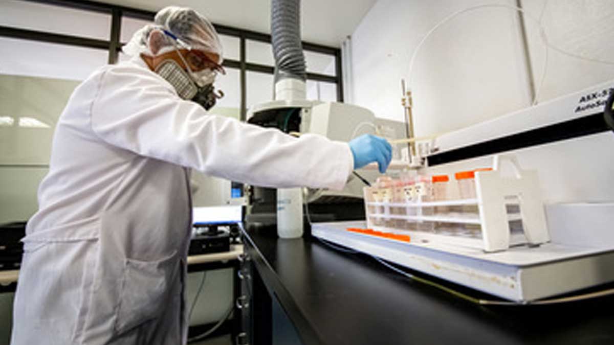 Avanza colaboración entre México y Dinamarca para fortalecer la sanidad e inocuidad porcícola