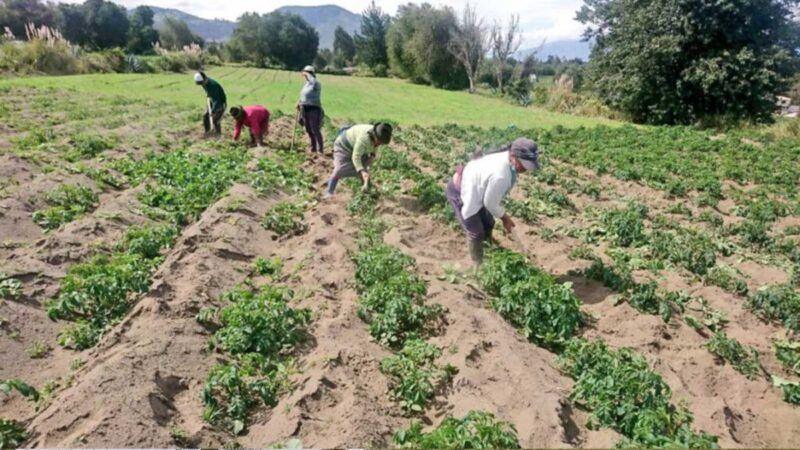 BANECUADOR sigue aportando y fortaleciendo el desarrollo agro-productivo del país