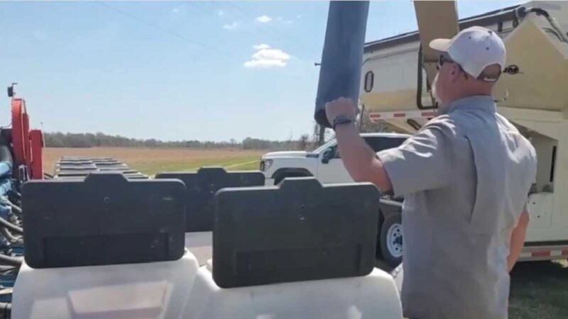 Brasilia confirma que tiene suficientes fertilizantes de Rusia para la cosecha de este año