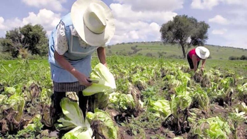 CORMONLIT pide reunirse con el Ministro Bernardo Manzano