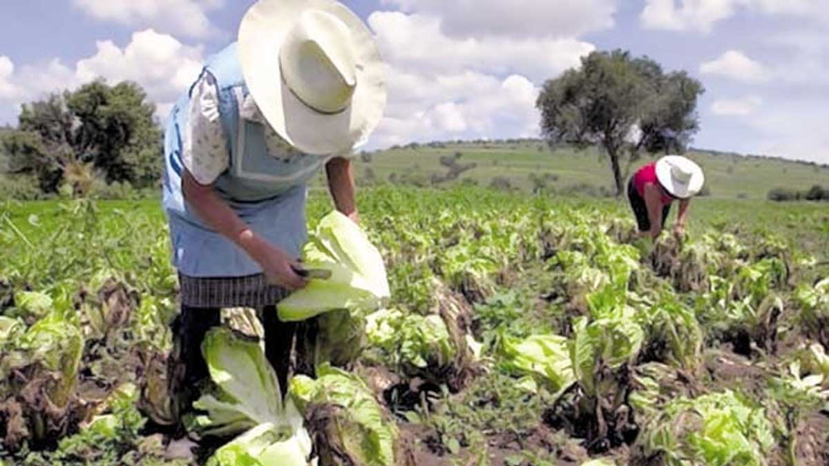 CORMONLIT pide reunirse con el Ministro Bernardo Manzano