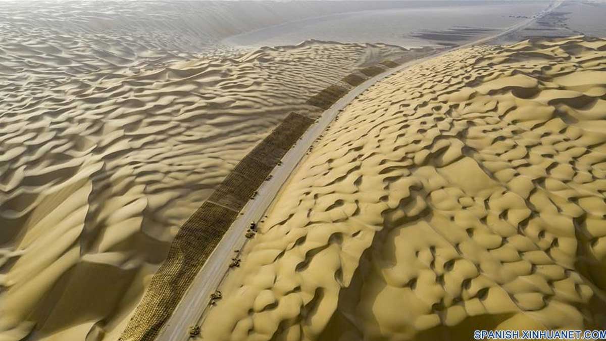 Construyen un corredor verde de prevención de la arena a lo largo del ferrocarril del desierto en Xinjiang