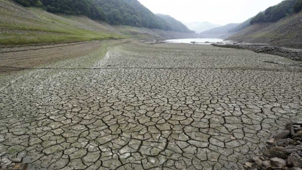 Corea del Norte envía a administrativos al campo a combatir la sequía