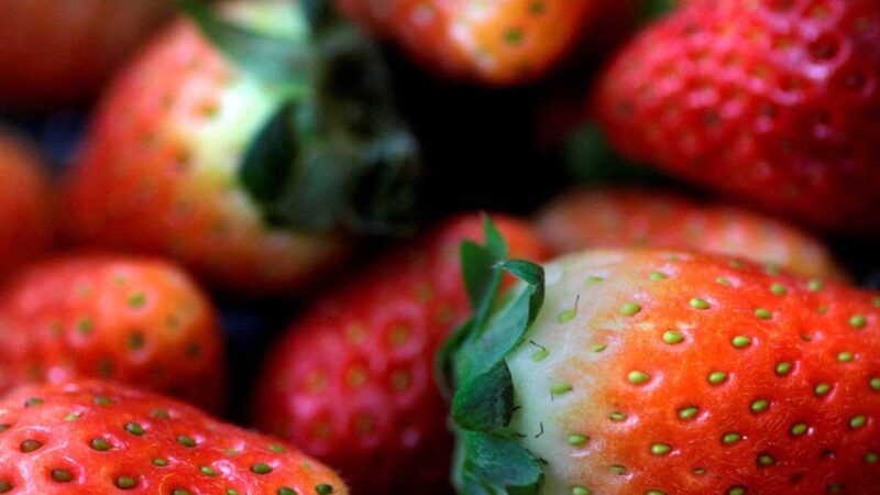 EE. UU. y Canadá investigan brote de hepatitis A relacionado con fresas orgánicas