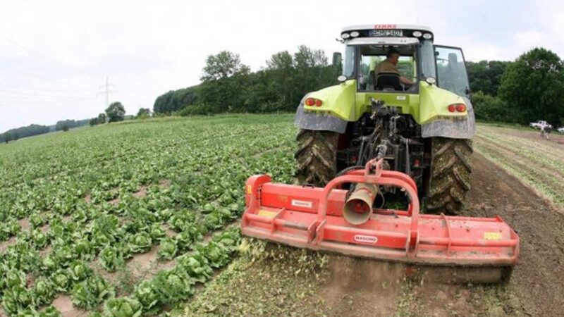 España presentará en junio el proyecto de ley para aplicar la nueva PAC