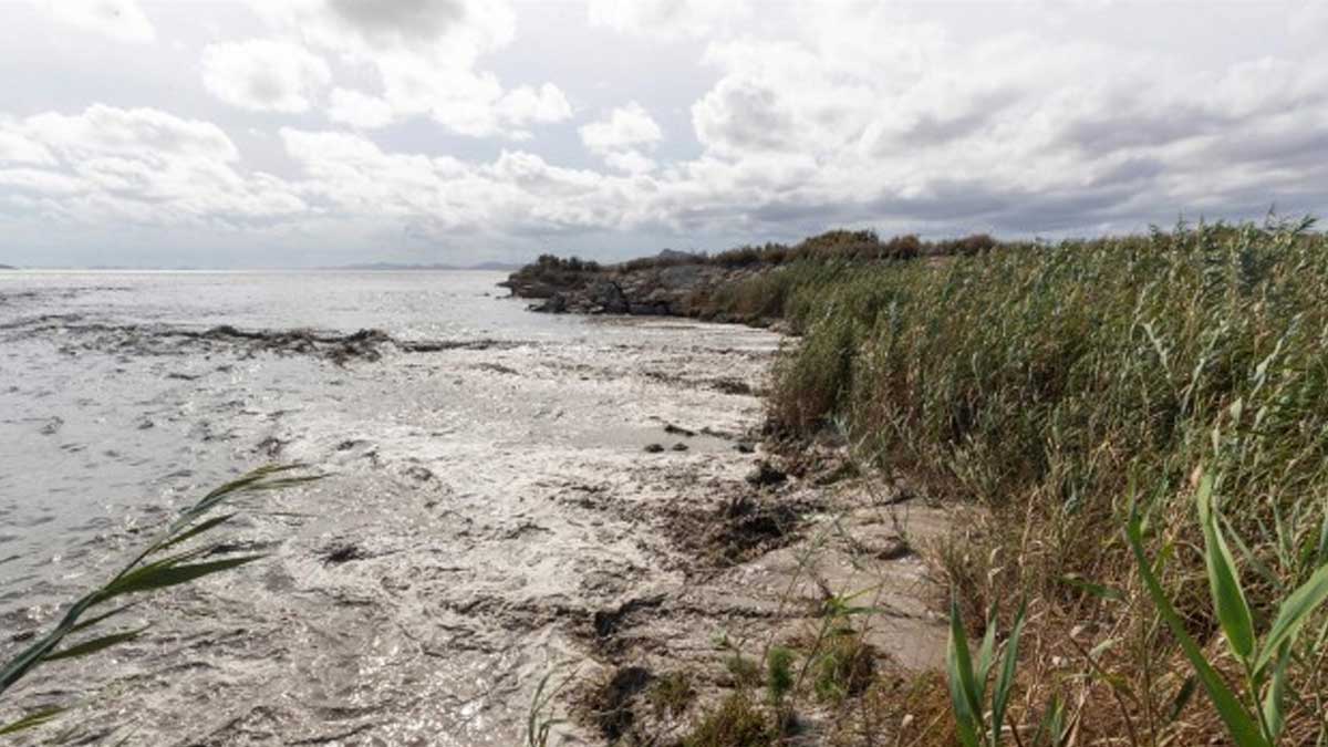 Expertos piden diferenciar entre crecimiento y desarrollo sostenible