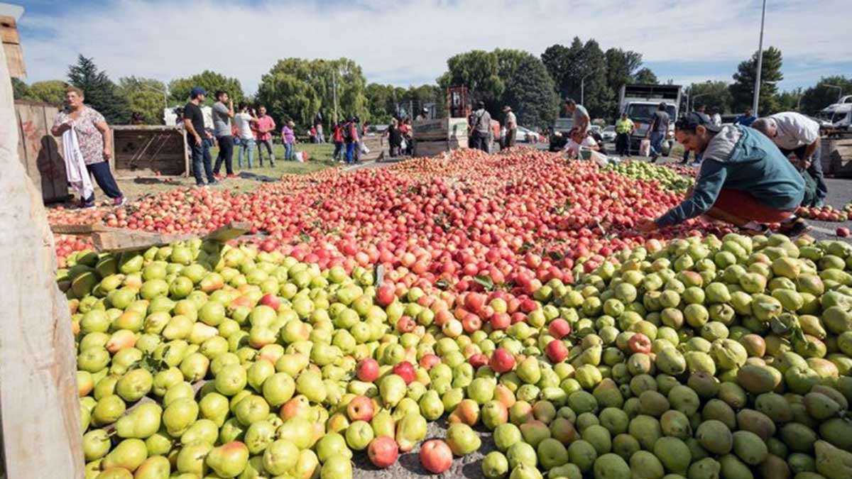 FAO y Rabobank se reunieron con productores frutícolas y proveedores de soluciones