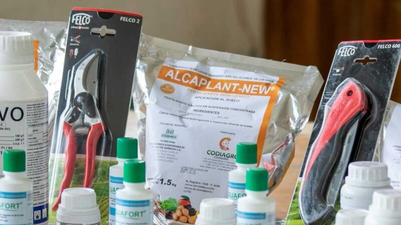 Fomentan el desarrollo productivo de los agricultores