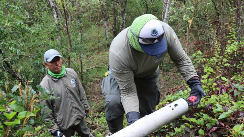 Galápagos actualizó estándares para evaluar impactos de especies invasoras