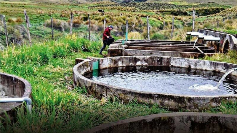 Gobierno provincial ejecuta proyectos ambientales