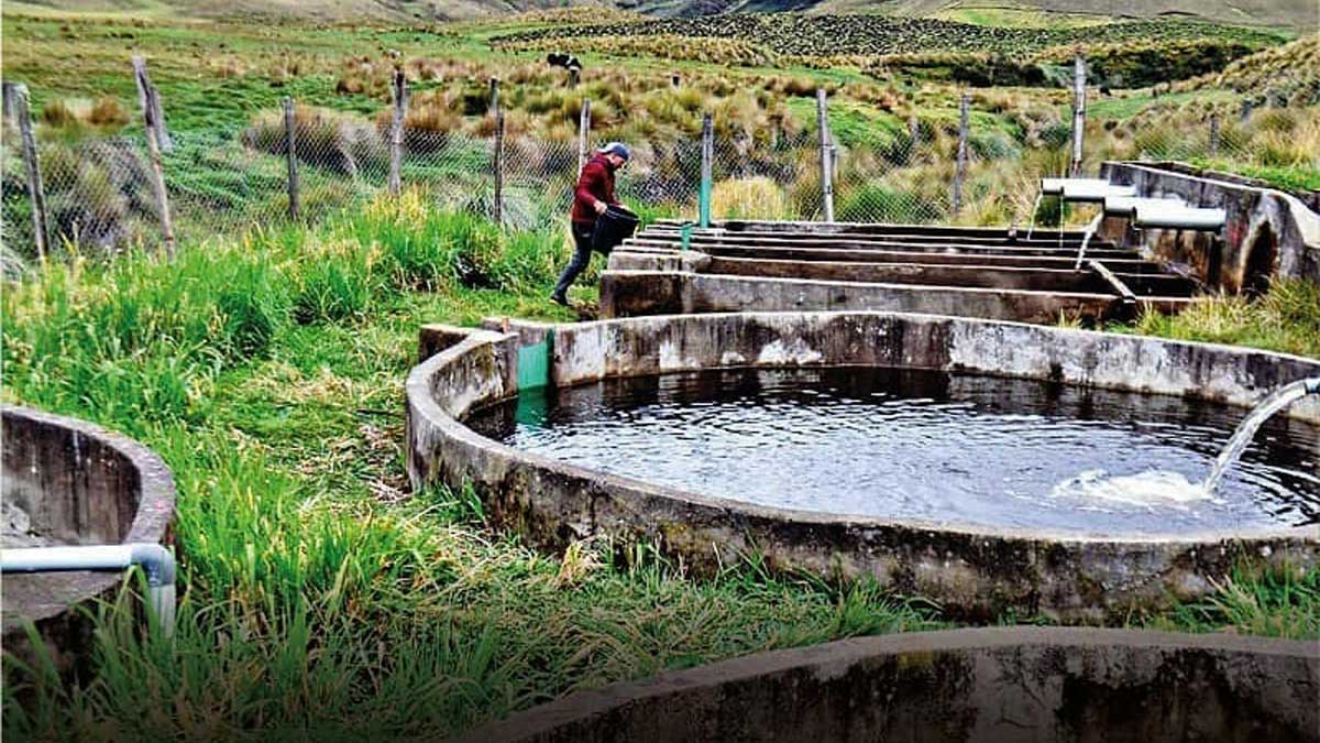 Gobierno provincial ejecuta proyectos ambientales