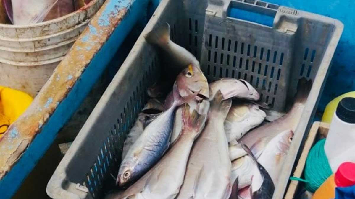 IPIAP sigue trabajando en beneficio del sector pesquero