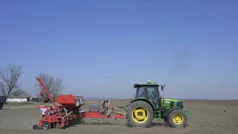 Imágenes satelitales predicen pérdida de un tercio de las cosechas de trigo