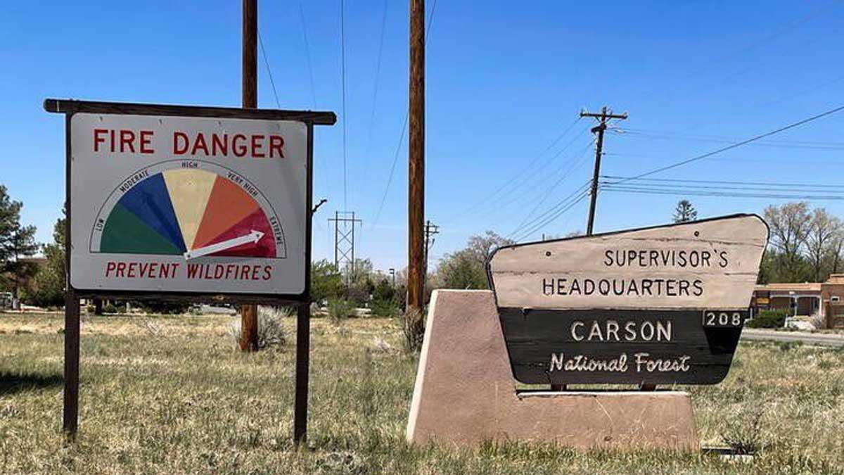 Incendio forestal amenaza la ciudad