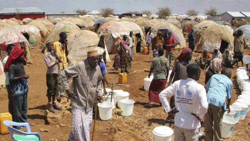 Invertir en la agricultura frenaría la hambruna mundial, afirma la ONU