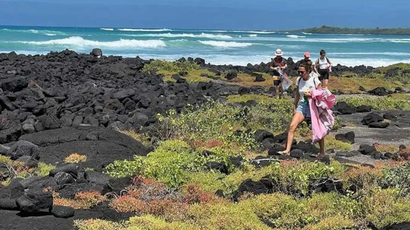 Isabela conmemoró el Día de la Biodiversidad con limpieza costera